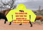 TOO CRINGE FOR NEW YORK TOO BASED FOR LA JUST CRAZY ENOUGH FOR SOUTH DAKOTA