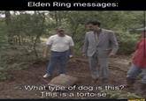 Elden Ring MEssages Elden Ring messages: What type of dog is this? - This is a tortoise. ifunny.co