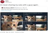 BOO. ... @rambites im never sharing my cats with u guys again. Die Chance BLM @DieChanc3 · Mar 18 Why the f--- does everyone own this cat now Show this thread New cat just dropped, say hi to everybody say hi to bob. gublo :) new cat i got 6:16 PM · Mar 18, 2022 · Twitter for iPad
