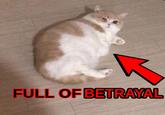 FULL OF BETRAYAL
