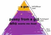 a gun Self-fulfillment needs p---- from a girl Poychological who needs wants me dead Basic needs