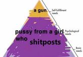 a gun\_ Self-fulfillment needs p---- from a girl Pychological who shitposts needs Basic needs