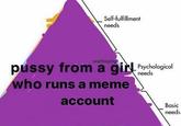 Self-fulfillment needs wafflep0g p---- from a girl Pychological needs who runs a meme account Basic needs