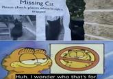Missing Cat Please check places where he might be trapped Huh. I wonder who that's for.