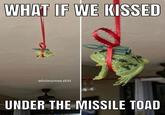 WHAT IF WE KISSED wholesomee.s---- UNDER THE MISSILE TOAD