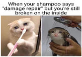 When your shampoo says "damage repair" but you're still broken on the inside
