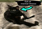 full of mental illness