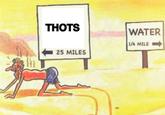 THOTS WATER 1/4 MILE 25 MILES
