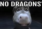NO DRAGONS"