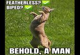 FEATHERLESS? BIPED? @big _floppa BEHOLD, A MAN