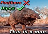 Feathers X Biped This is a man.