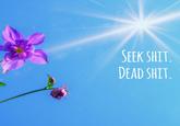 SEEK S---. DEAD S---.