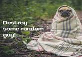 Destroy some random guy!