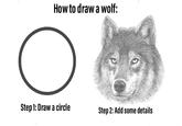How to draw a wolf: Step 1: Draw a circle Step 2: Add some details