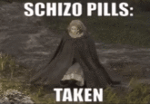 SCHIZO PILLS: ТАKEN