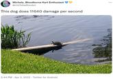 Michela, Bloodborne Kart Enthusiast ... @micheladlondon This dog does 11640 damage per second 2:44 PM · Apr 3, 2022 · Twitter for Android