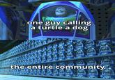 dog UIGHTYEAM one guy calling a turtle a dog BUZZ SUZZ GNIYERR the entire community BUZZ CHIYLAR IVERW BUZZ BUZZ ZZ08 UICHTYEAR