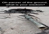 Oh panzer of the ground, what is your wisdom?