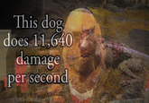 This dog does 11,640 damage per second