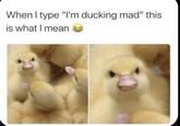 Never correcting “ducking” again.. | /r/wholesomememes When I type "I'm ducking mad" this is what I mean