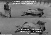 Oh Panzer of the lake, what is your wisdom? Sshhhh. I'm hiding here from Ukrainian farmers. made with mematic