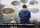 This is why the dog is happier