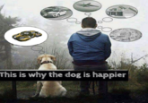 This is why the dog is happier