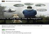 4biddnknowledge 100 This is why the dog is happier Stop to smell the roses. #4biddenknowledge rp @donnyarcade grimelords me: dream of airplane dog: certain we are being watched