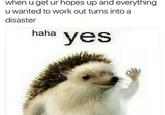 when u get ur hopes up and everything u wanted to work out turns into a disaster haha yes