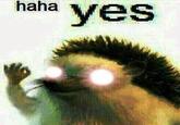 haha yes