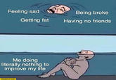 Feeling sad Being broke Getting fat Having no friends Me doing literally nothing to improve my life STARECAT.COM