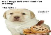 Me : Page not even finished loading The Site : cookie?