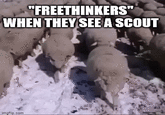 "FREETHINKERS" WHEN THEY SEEA SCOUT imgfip.com