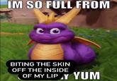 I'm So Full From X Yum / Fat Spyro | Know Your Meme