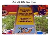 Adult life be like THIS RIDE ONLY STOPS IN AN EMERGENCY. CRYING IS NOT AN EMERGENCY