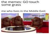 the memes: GO touch some grasS me who lives in the Middle East: where grass