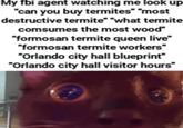 My fbi agent watching me look up "can you buy termites" "most destructive termite" "what termite comsumes the most wood" "formosan termite queen live" "formosan termite workers" "Orlando city hall blueprint" "Orlando city hall visitor hours"