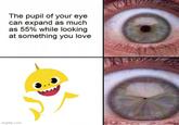 The pupil of your eye can expand as much as 55% while looking at something you love imgflip.com