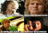 PUFFAGREEN TOKE MERIJANE BRANDYBUSH sicilian maxing.iF pablo.iF SAMWISE G---- FRODO BAGOWEED