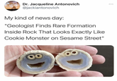 Is it bad that I want to eat it? | /r/wholesomememes Dr. Jacqueline Antonovich @jackiantonovich ... My kind of news day: "Geologist Finds Rare Formation Inside Rock That Looks Exactly Like Cookie Monster on Sesame Street"