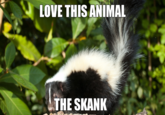 LOVE THIS ANIMAL THE SKANK
