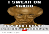 I SWEAR ON YAKUB ON YAKUB I DID NOT S--- IN GARY INDIANA made with mematic On Yakub yo