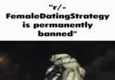 "r/- Female Dating Strategy is permanently banned"