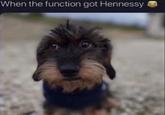 When the function got Hennessy