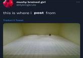 mushy brained girl @ilykingkrule this is where i post from Traduci il Tweet