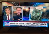 INSTAGRAM BIGFOOTJINX AL 3.5gar NETE FOX MOUNTAIN DEW RELEASES "FLAMIN' HOT" FLAVOR NEWS channel JESSE WATTERS PRIMETIME TCL ROKU TV LEGENDS