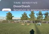 TIME SENSITIVE DoorDash Estinksmelly Smelvin is approaching @clayytard