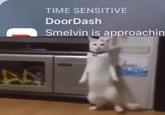 ( TIME SENSITIVE DoorDash @stinksmelly Smelvin is approachin L