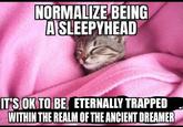 NORMALIZE BEING ASLEEPYHEAD IT'S OK TO BE ETERNALLY TRAPPED WITHIN THE REALM OF THE ANCIENT DREAMER