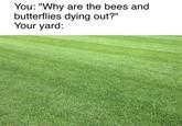 You: "Why are the bees and butterflies dying out?" Your yard: